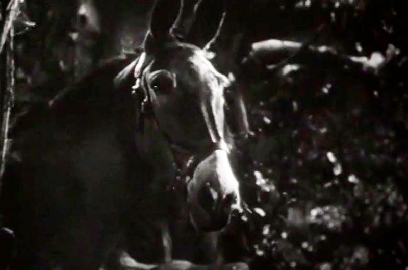  (1950)