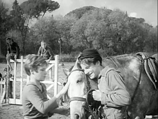  (1946)