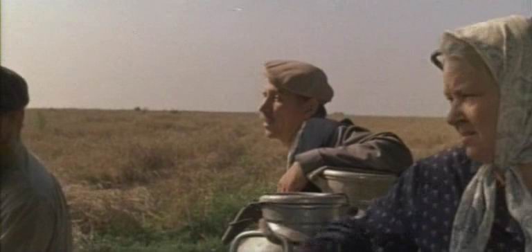    (1984)