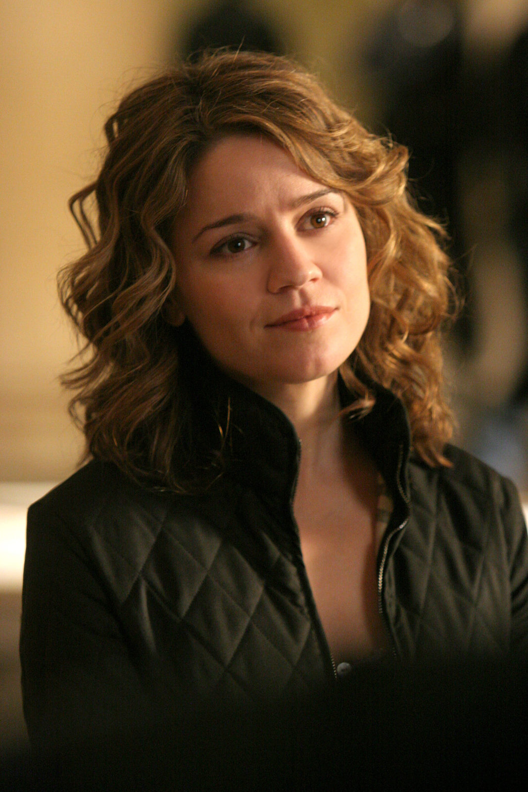 CSI:   - (2004-2013)