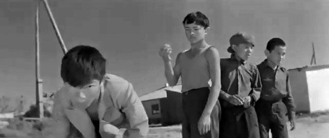   (1966)