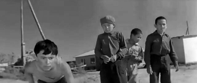   (1966)