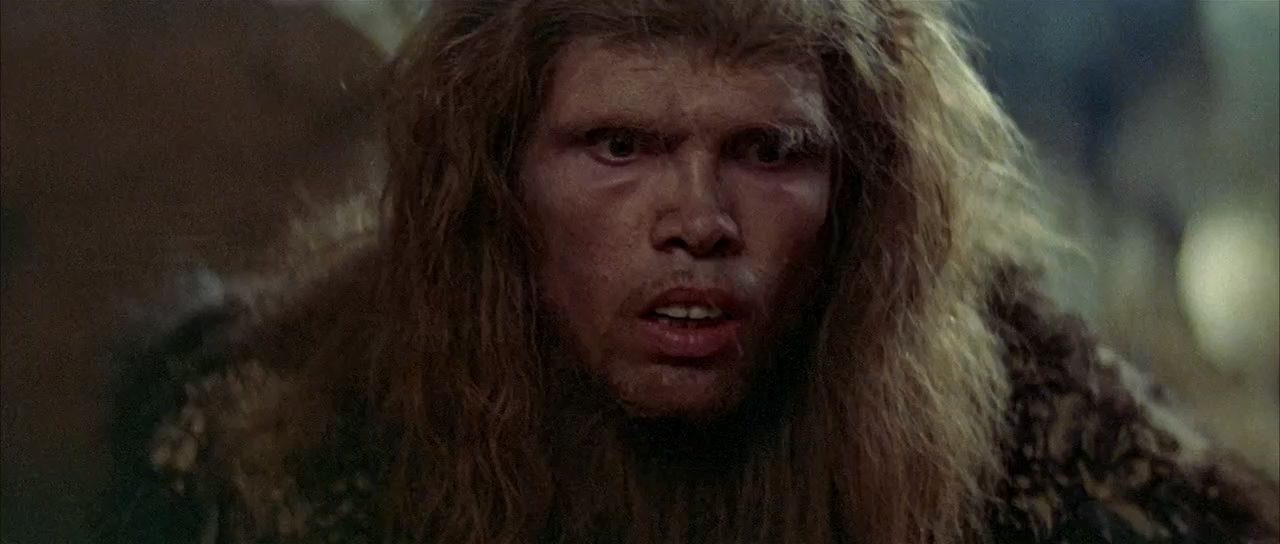    (1981)