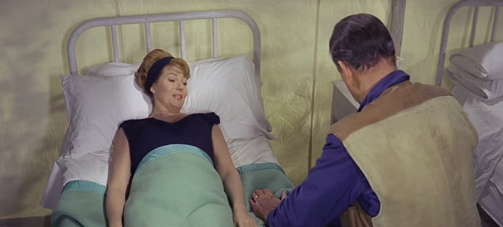   (1964)