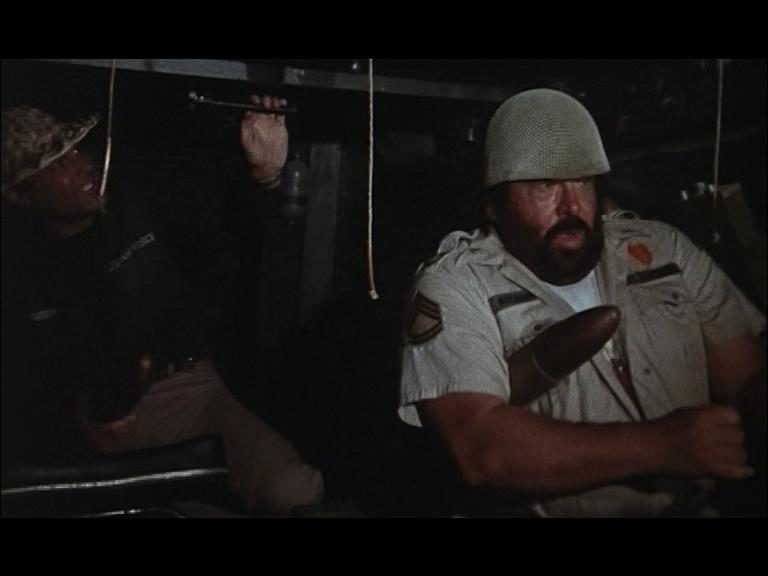   ,    (1981)
