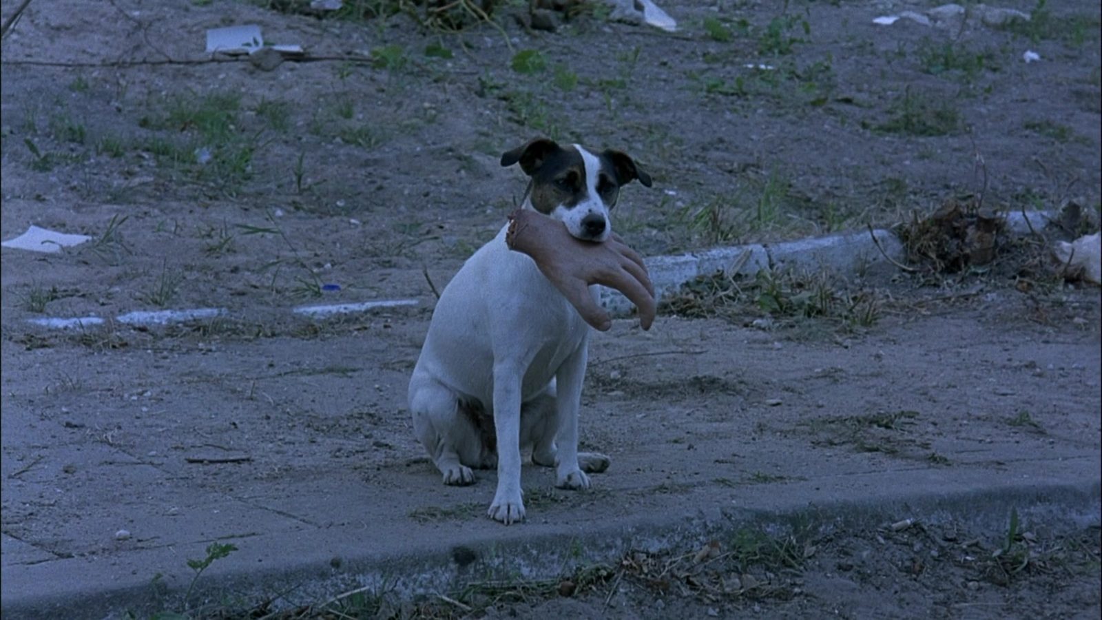  (2004)