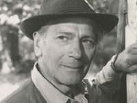 Она танцевала одно лето (1951) фотографии