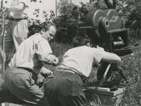 Она танцевала одно лето (1951) фотографии