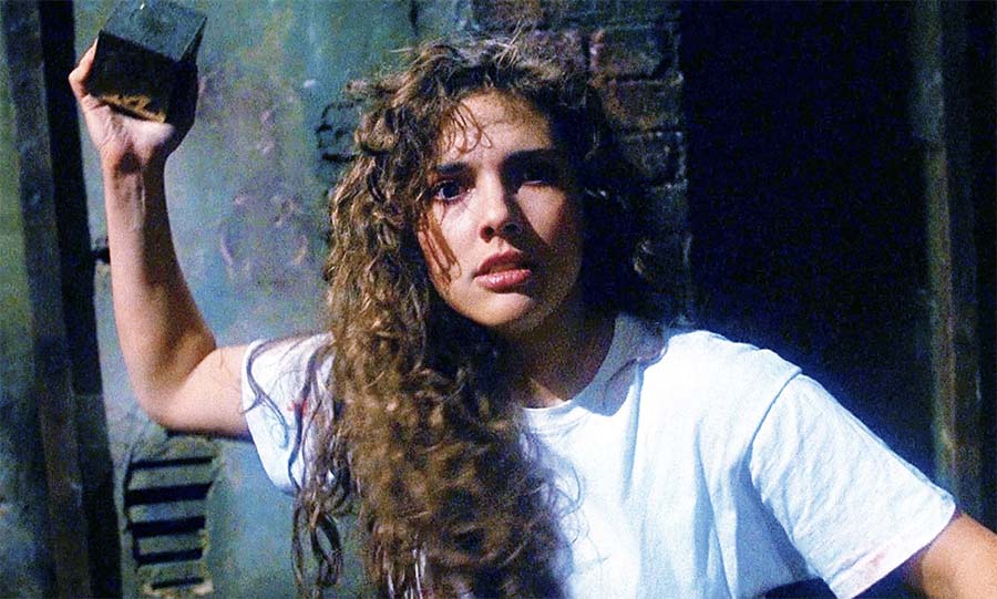    (1987)