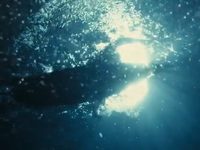  60 (2013) 
