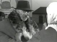   (1967)