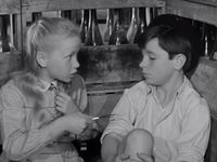   (1957) -  16
