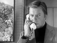     (1981) -  1