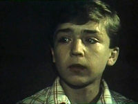   (1988)