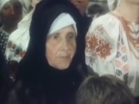  - 33 (1991) -  4