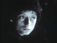 - 33 (1991) -  15