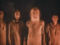  - 33 (1991) -  72