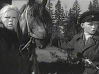  (1963)