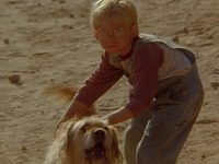  (1988) -  11