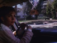   (1991)