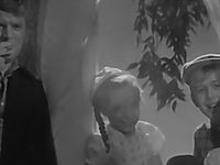   (1965) 
