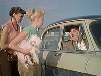   (1958) 
