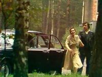   (1981)
