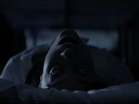 .   (2024)