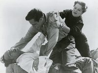     (1960) 

