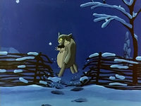 -  (1982) -  16