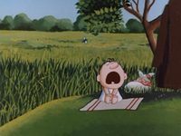 -  (1982) -  5