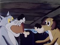 -  (1982) -  15
