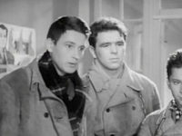    () (1961) -   -  8
