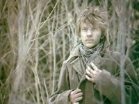    (1987)