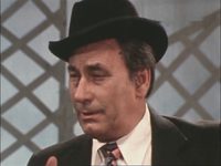  (1981)