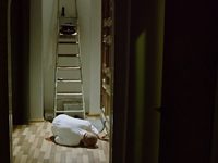  (2017) 
