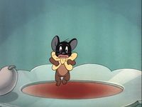 - (1951) 
