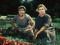    (1956) 
