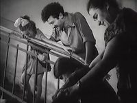   (1958) -  33