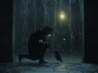  (2022) 
