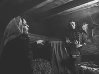   (1955)