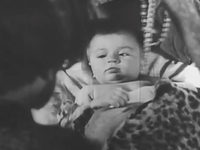   (1955)