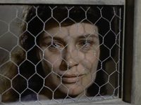   (1959) -  4