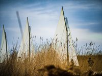 ������ ������ (2026) 
����������