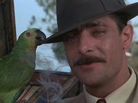   (1975) 
