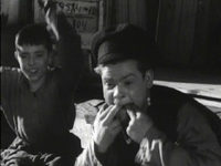  (1956) -  14
