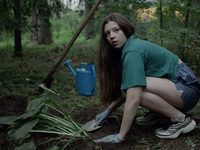  -2 (2021)