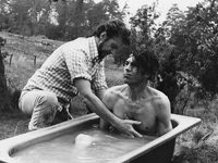   (1971)