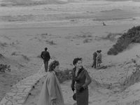  (1955) 
