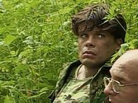  -1 (2002)